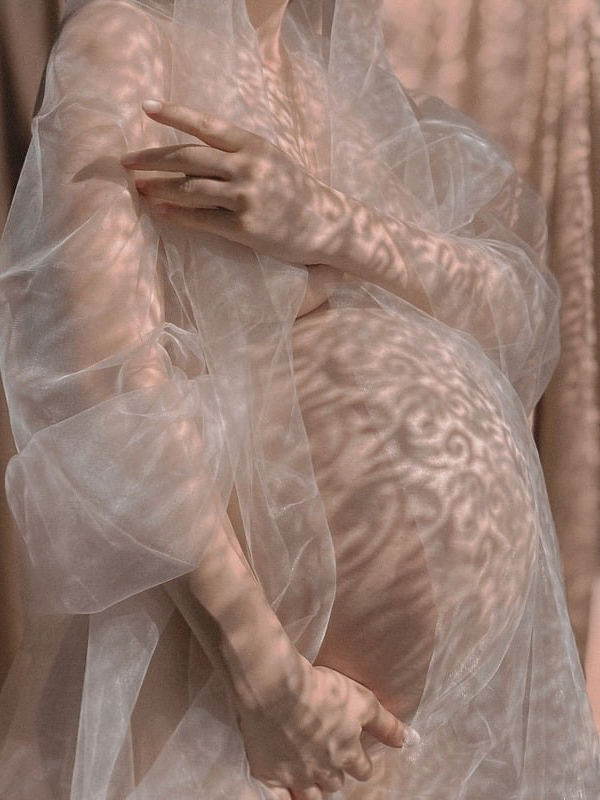 Pregnant woman posing for a photo with a beautiful sheer dress on